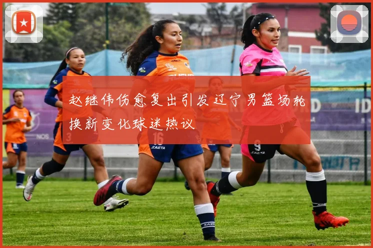赵继伟伤愈复出引发辽宁男篮场轮换新变化球迷热议