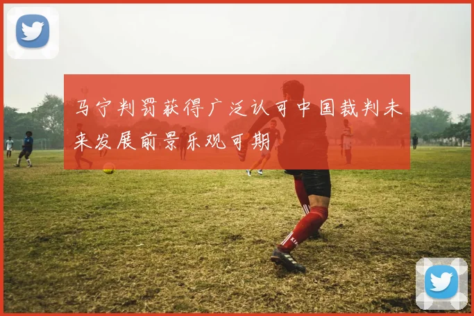 马宁判罚获得广泛认可中国裁判未来发展前景乐观可期